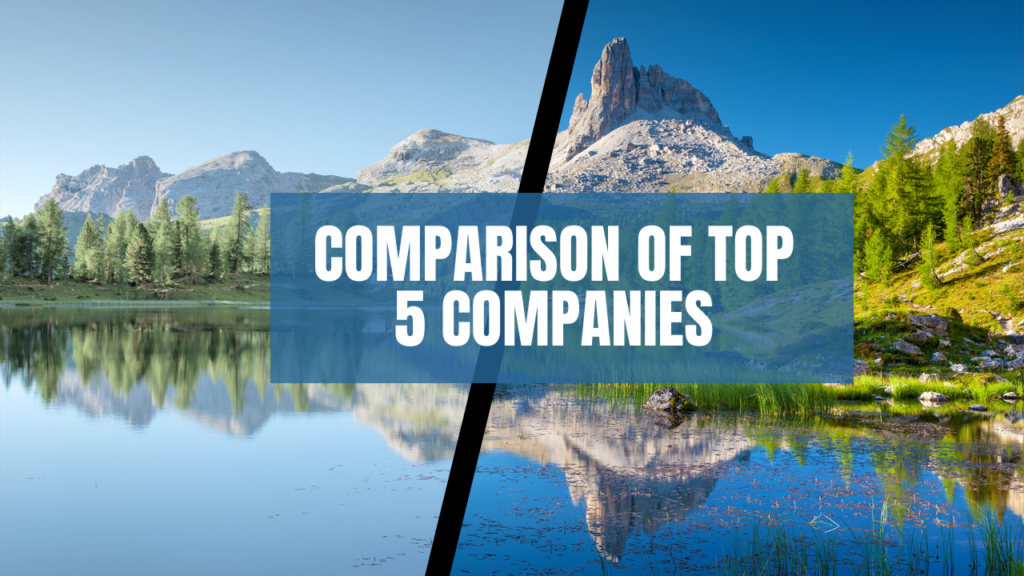 Comparison of Top 5 Companies
